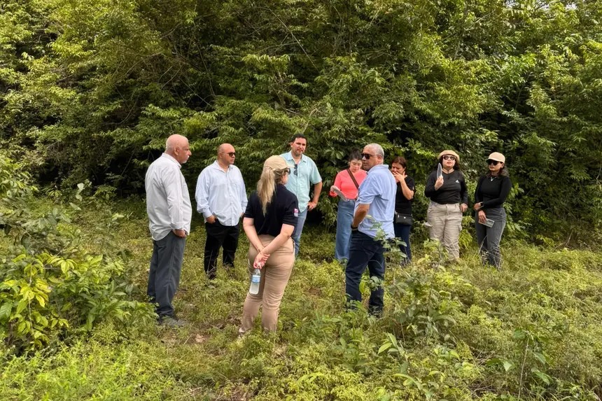 Codec realiza visita técnica na área do futuro Distrito Industrial de Santarém e coleta informações