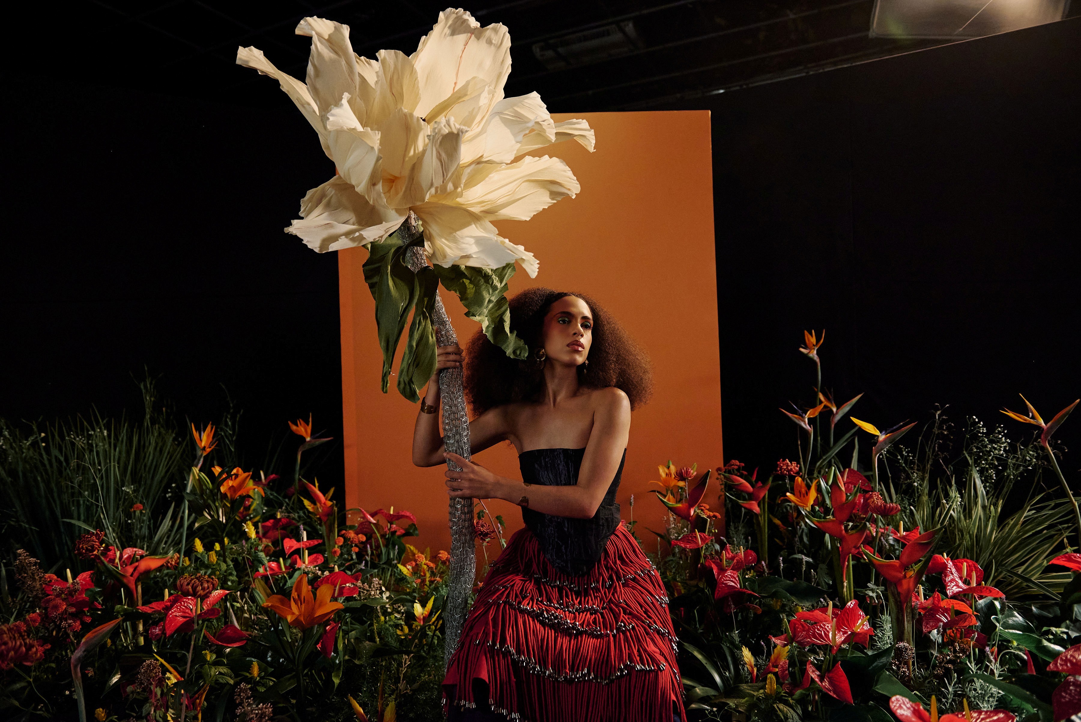 Com quase 20 apresentações gratuitas, São José recebe festival 'Mês da Música' em novembro; veja a programação