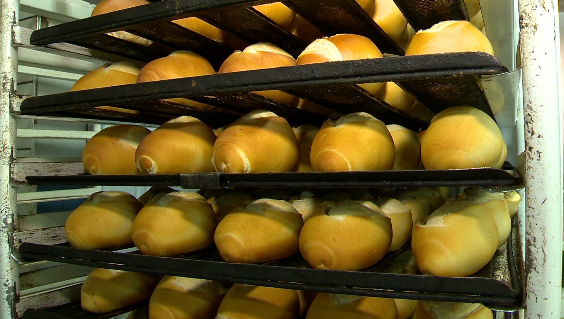 Do pão ao café: Procon encontra variação de até 540% no preço de itens em padarias em São José dos Campos