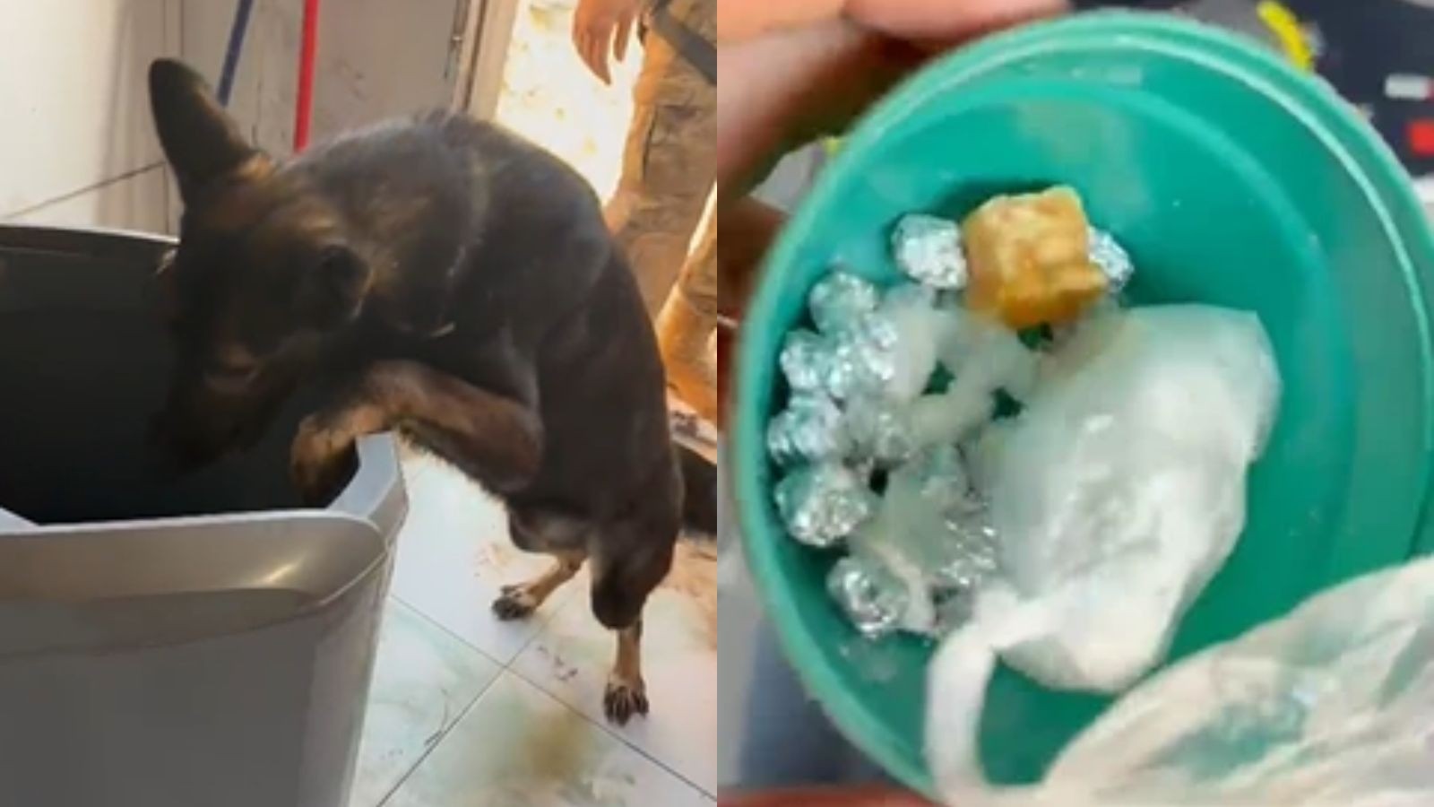 Mulher tenta esconder drogas em máquina de lavar cheia de água e é presa durante operação no PI