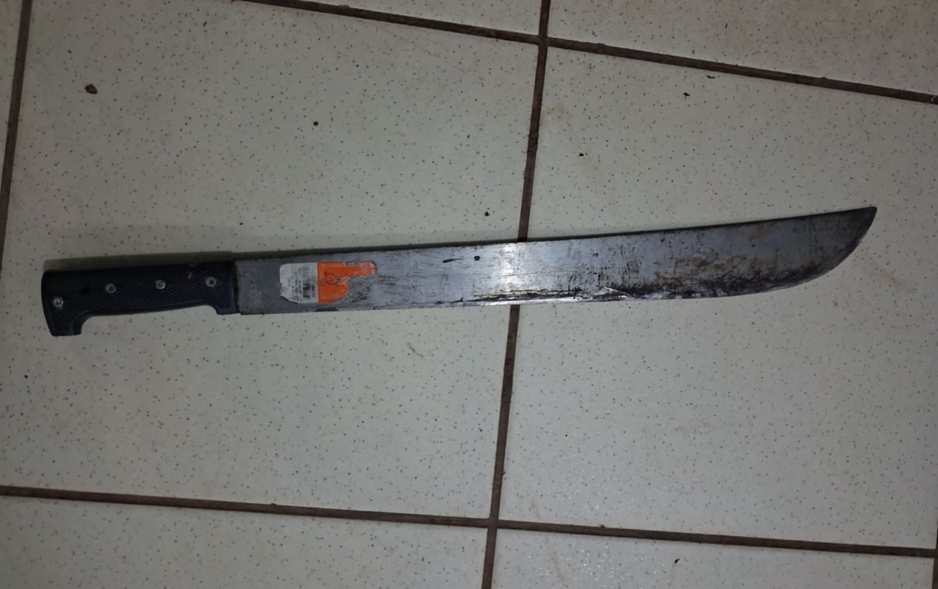 Mulher é presa por ameaçar moradora com facão e chamar PMs de 'cornos' em Caracaraí