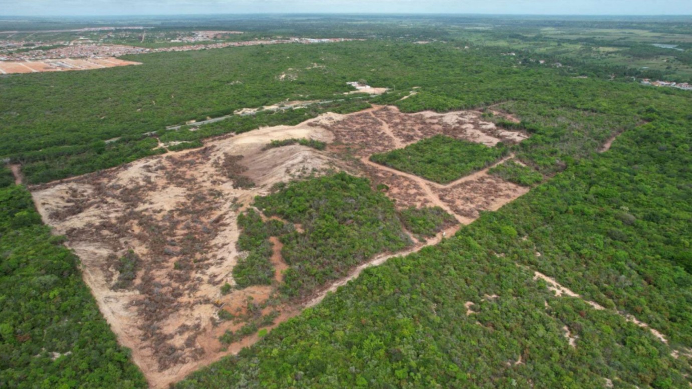 MP denuncia ex-secretária e empresário por desmatamento de Mata Atlântica para obra de empreendimento na Grande Natal