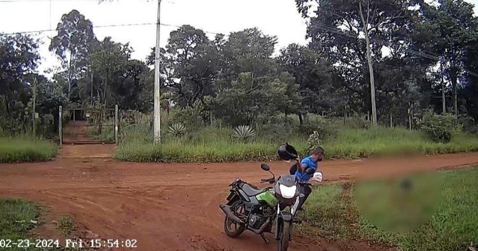 Entregador agride cachorro com capacete e é indiciado por maus-tratos em Uberlândia — Foto: Reprodução
