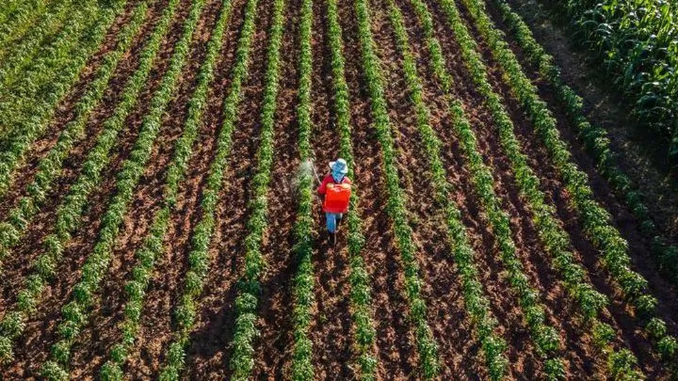 "O aumento dos preços dos fertilizantes será repassado por toda a cadeia de suprimentos", afirma Susannah Streeter, estrategista-chefe de investimentos da consultoria de investimentos Wealth Club — Foto: Getty Images via BBC