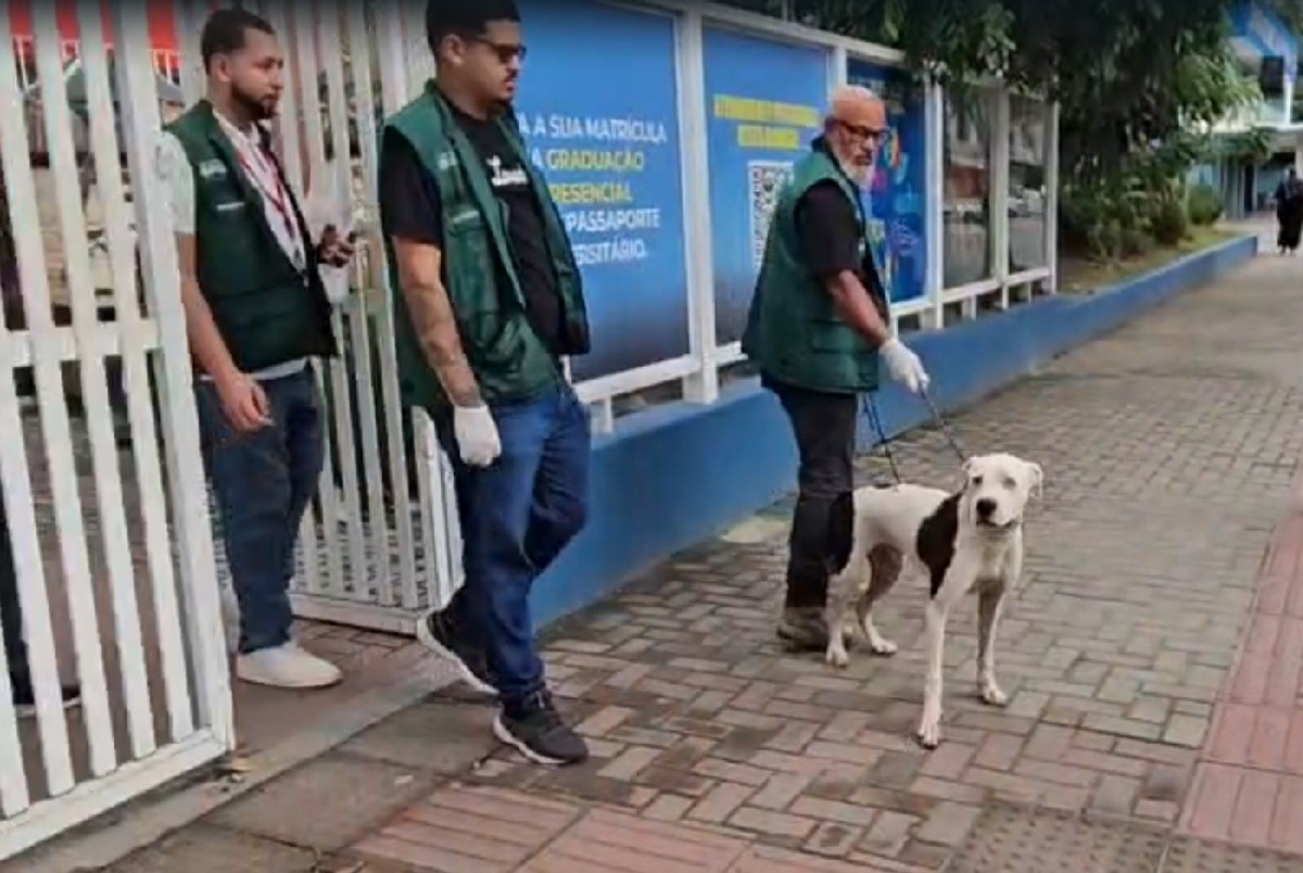 Cão invade escola e ataca alunos em Maricá 