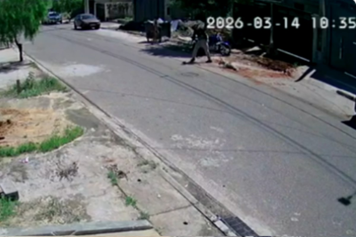 VÍDEO: Homem arrasta cachorro pelo asfalto e o abandona em caçamba de lixo no interior de SP