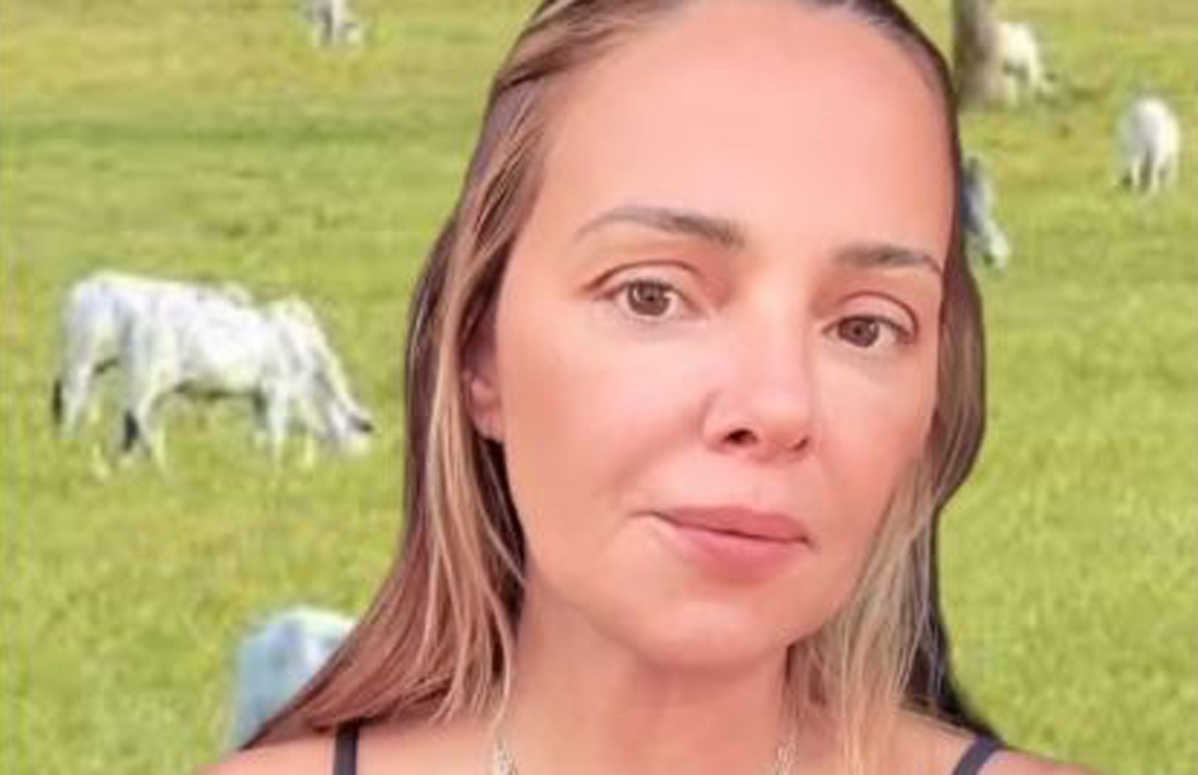 Aline Bardy Dutra, a Esquerdogata, sofre de alcoolismo e vai se tratar, diz advogado