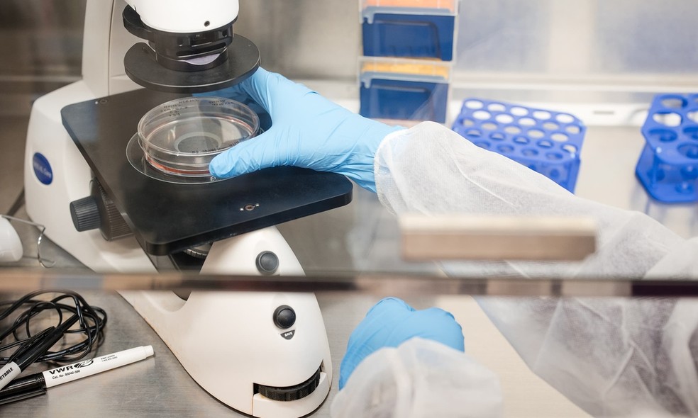 Pesquisadores conseguiram desenvolver medicamento que corrigiu a mutação no DNA de Kyle — Foto: Divulgação