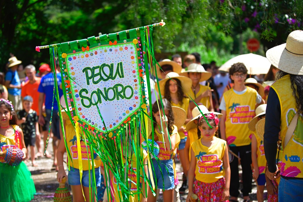 Um dos bloquinhos Pequi Sonoro vai se apresentar em Pirenópolis, Goiás — Foto: Divulgação/Assessoria