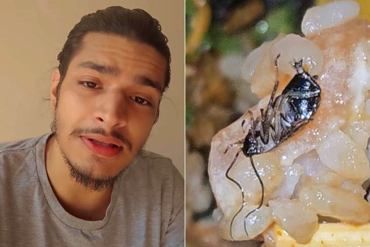 Ator encontra barata viva em poke e restaurante é condenado no litoral de SP