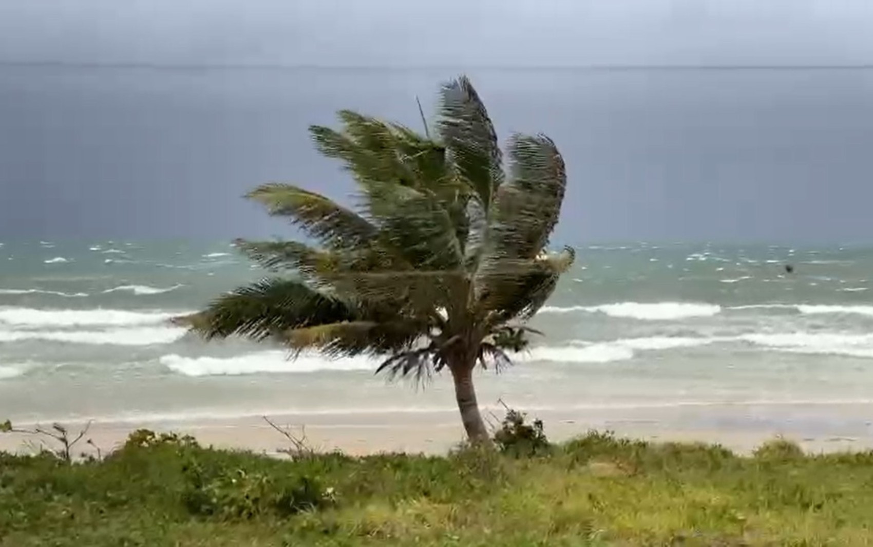 Marinha faz alerta para ventos de até 65 km/h no Litoral Norte de SP no fim de semana