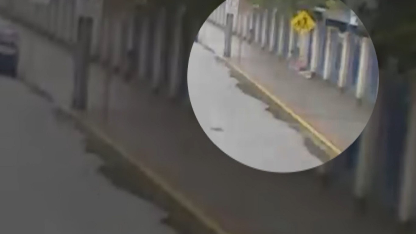 VÍDEO: Câmera flagra criança de 3 anos saindo de creche e caminhando por avenida em Florianópolis