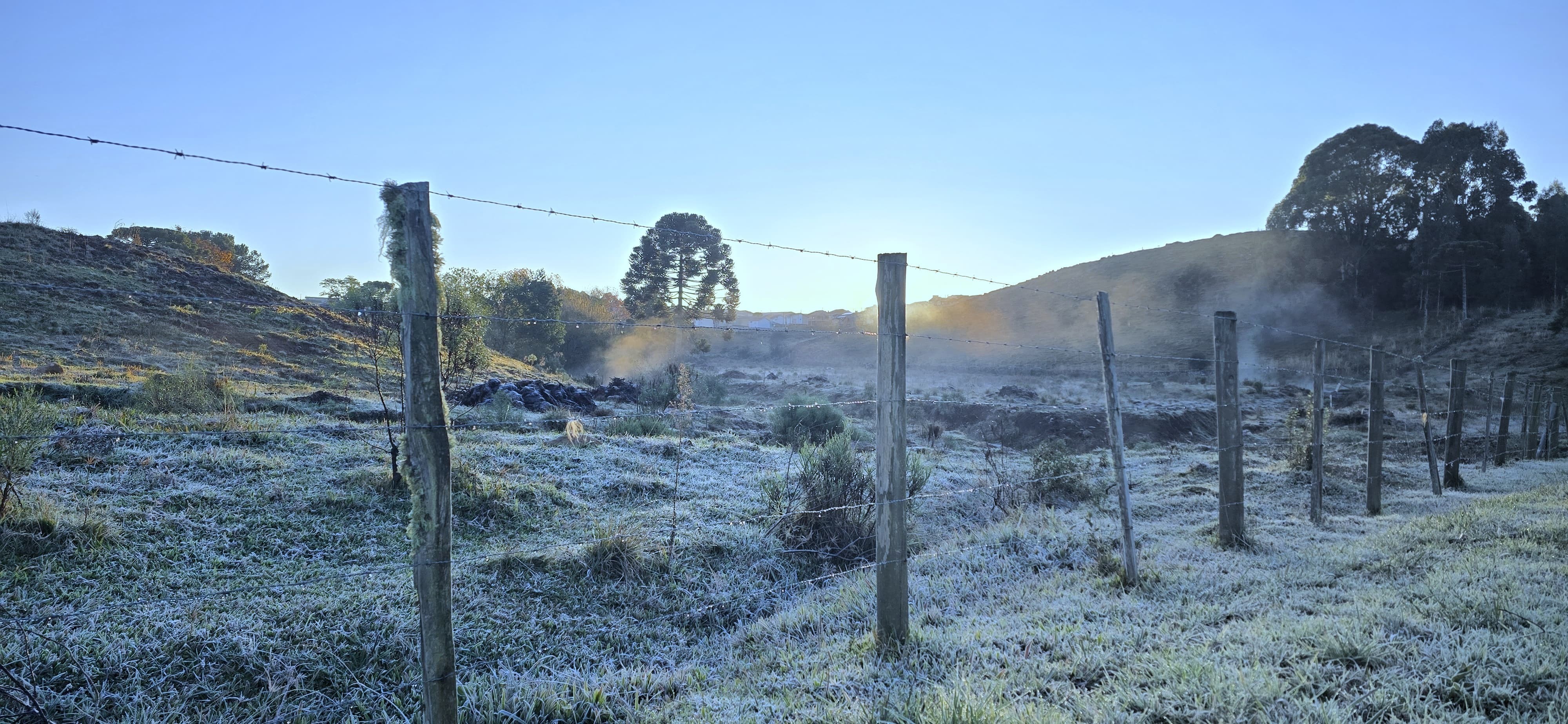 Geada é registrada em manhã com temperaturas negativas na Serra de SC; FOTOS