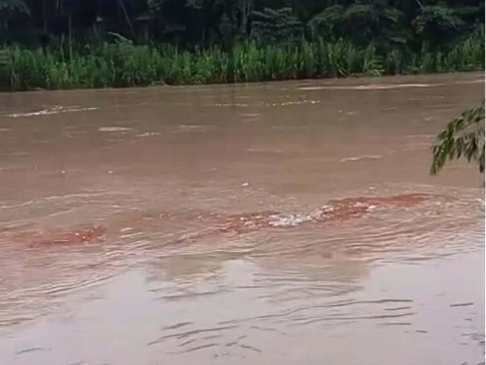 VÍDEO: Balsa afunda e óleo diesel se espalha em rio no interior do Acre