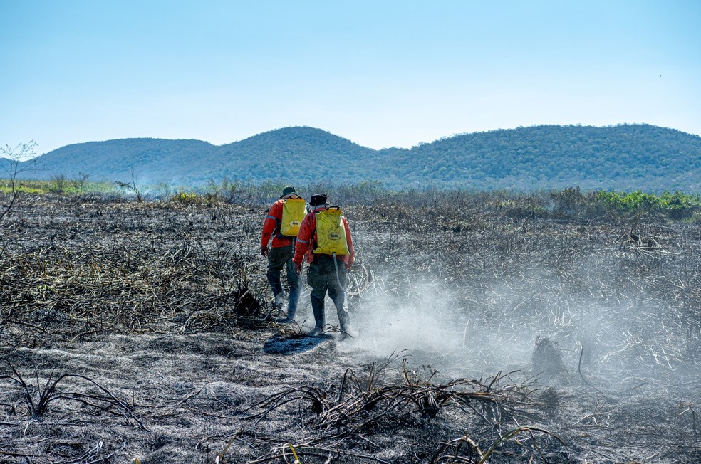 Vegetação atingida pelo fogo, em região próxima à Serra do Amolar. — Foto: Gustavo Figueirôa/Arquivo Pessoal