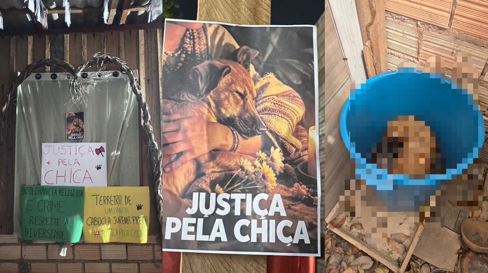 Cadela é encontrada morta com sinais de violência dentro de balde em terreiro em Santarém