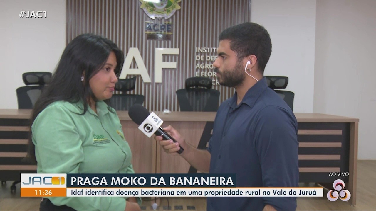 VÍDEOS: Jornal do Acre 1ª Edição desta terça-feira, 23 de setembro de 2025