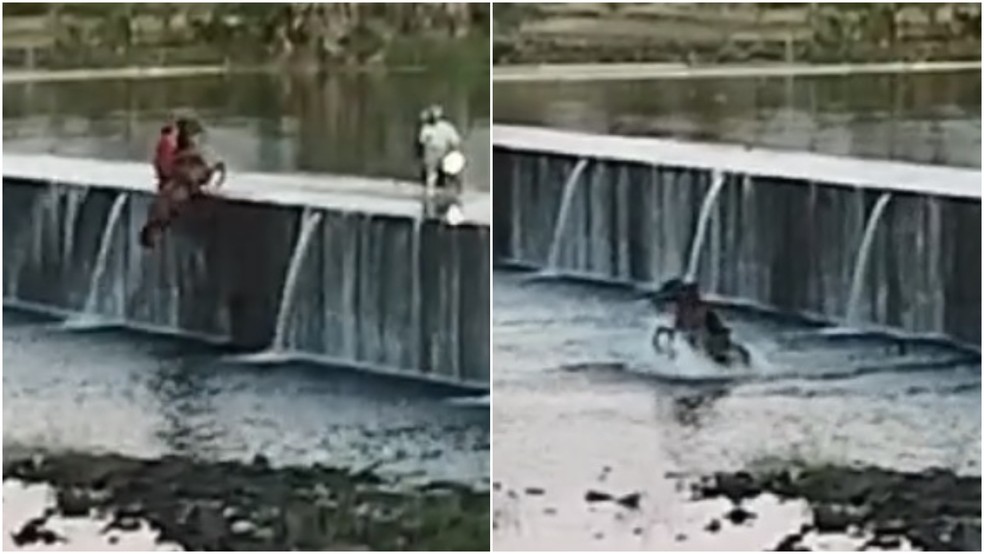 Homem a cavalo cai da barragem em rio na cidade de Limoeiro do Norte, no interior do Ceará — Foto: Reprodução