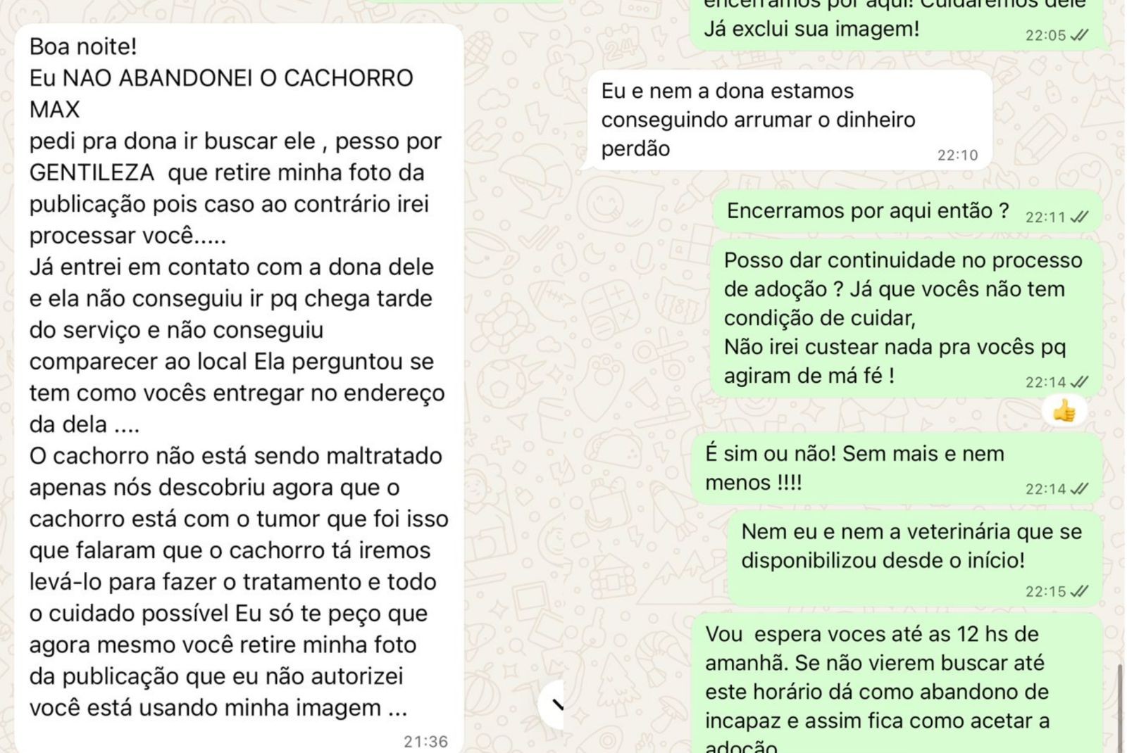 Pet shop denuncia maus-tratos após cão morrer ao ser abandonado com ferimentos e bicheira na boca