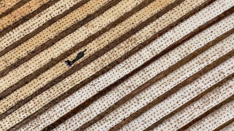 Entidade diz que 90% do PIB industrial do RS foi afetado por chuvas, e pede crédito e flexibilização de regras trabalhistas