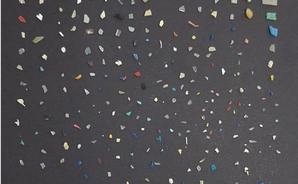 Maioria dos microplásticos são invisíveis a olho nu — Foto: Projeto MicroMar/Arquivo pessoal