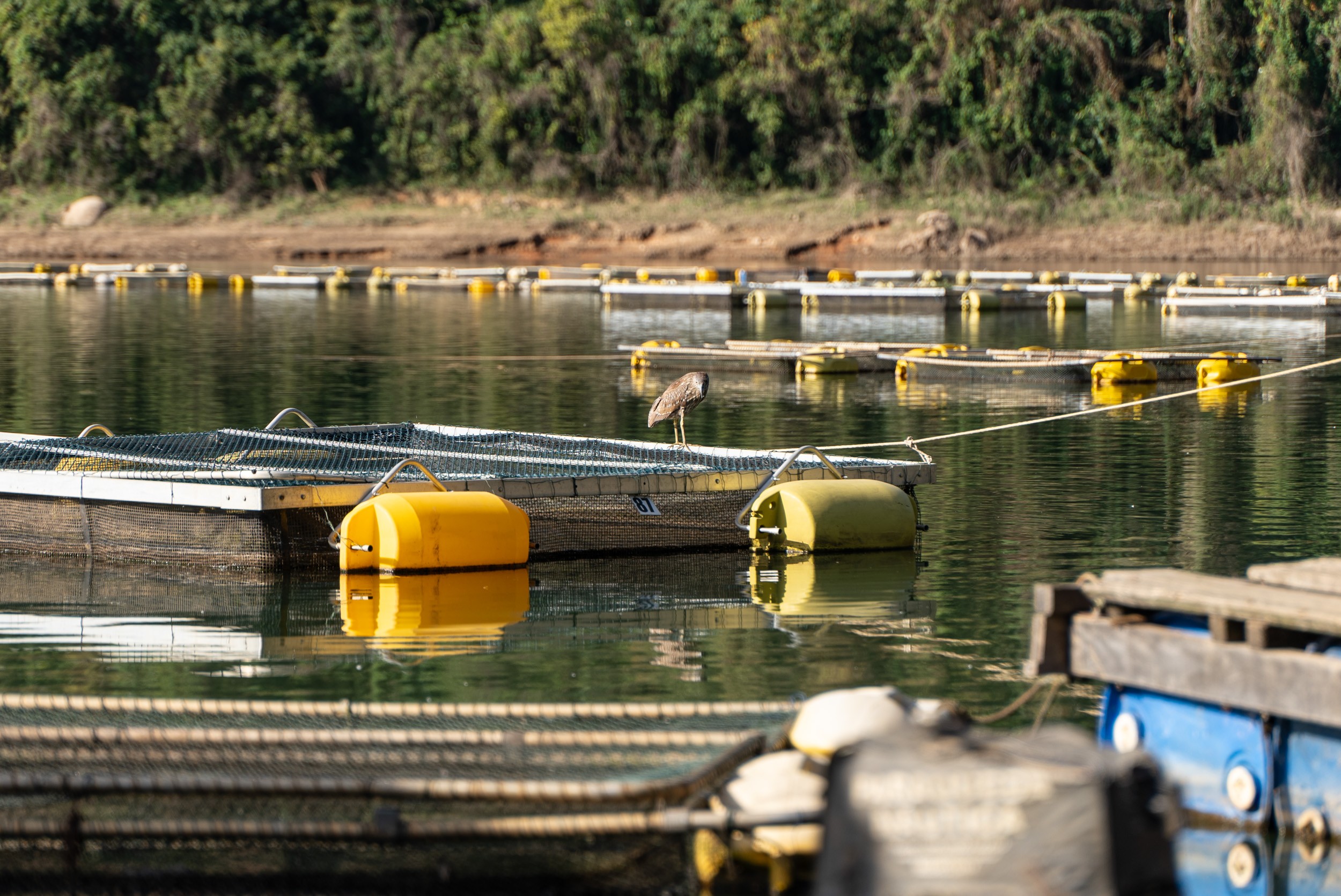 Tecnologia ajudou a prevenir roubos em represa em Caconde (SP) — Foto: Fábio Tito / g1