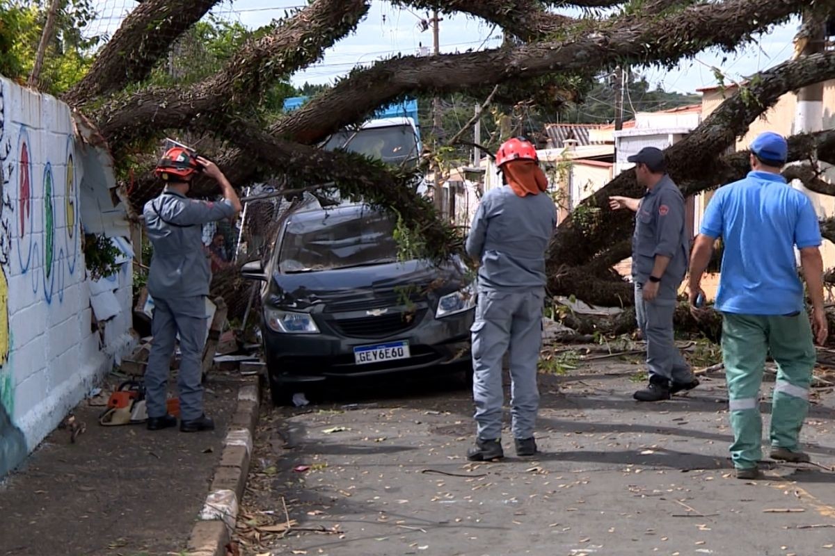 Campinas atribui a eventos climáticos extremos alta de 202% nas quedas de árvores