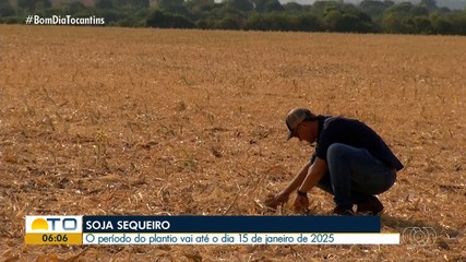 Produtores se preparam para o início do plantio da soja; período vai até o dia 15 de janei