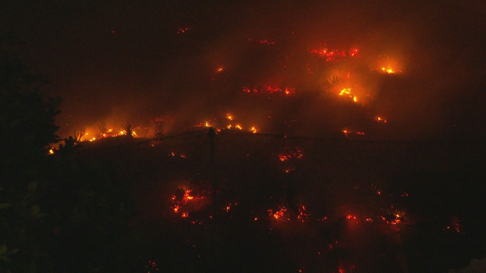 Incêndio consumiu mata no Itanhangá — Foto: Anderson Salles/TV Globo