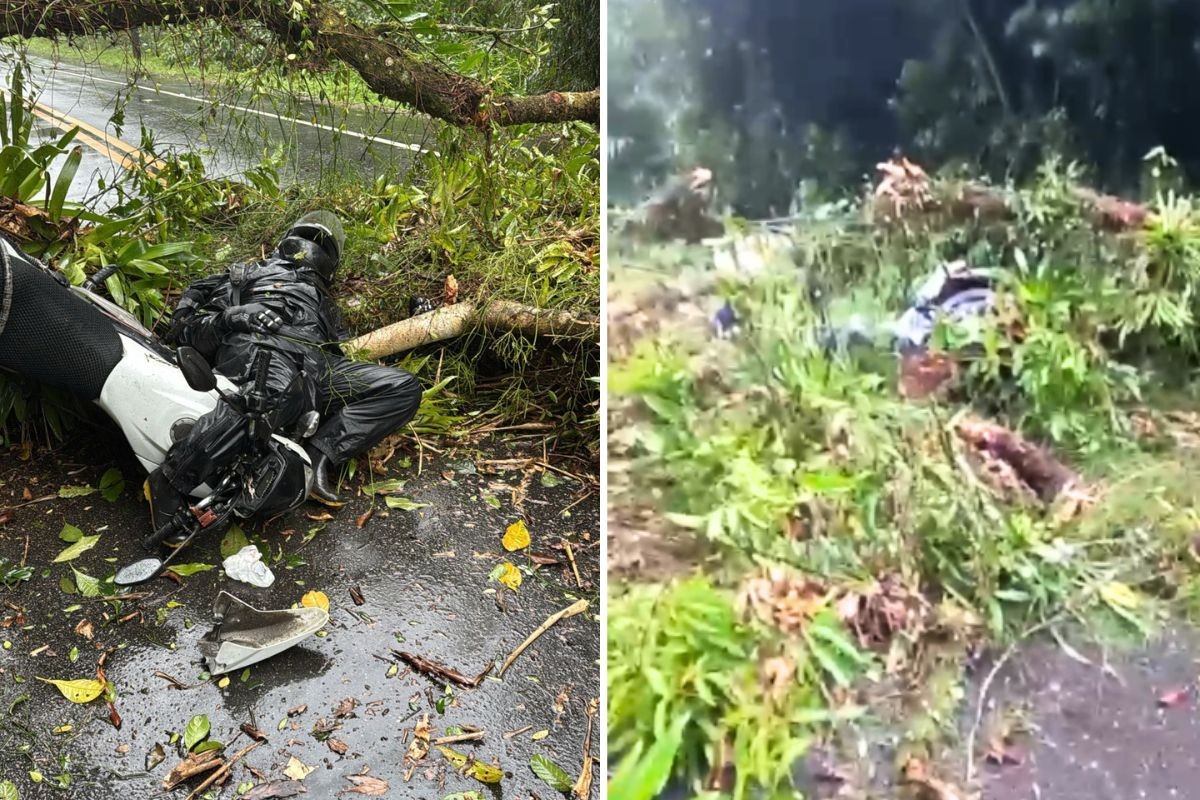 Árvore cai sobre motociclista em Guarujá
