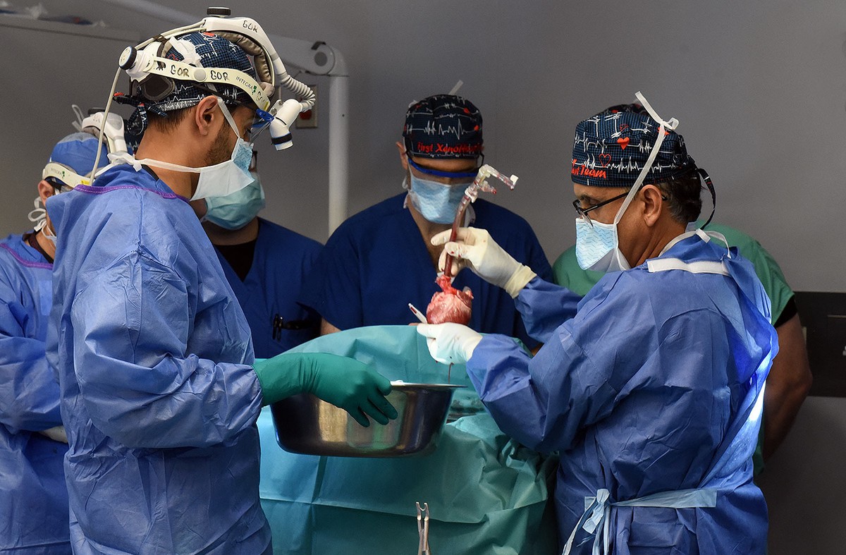 A man undergoes a pig heart transplant for the second time  health