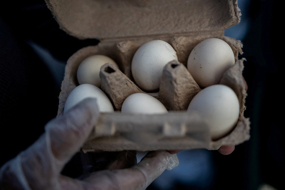 Um vendedor segura ovos frescos em uma feira de produtores nos Estados Unidos, em 8 de março de 2025. — Foto: REUTERS/Carlos Barria/Foto de arquivo