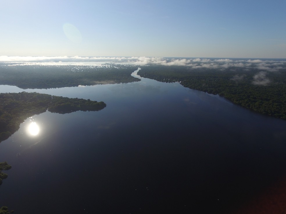 Reserva Extrativista (RESEX) Lago do Cuniã, em Porto Velho (RO) — Foto: Acervo/ICMBio NGI Cuniã Jacundá