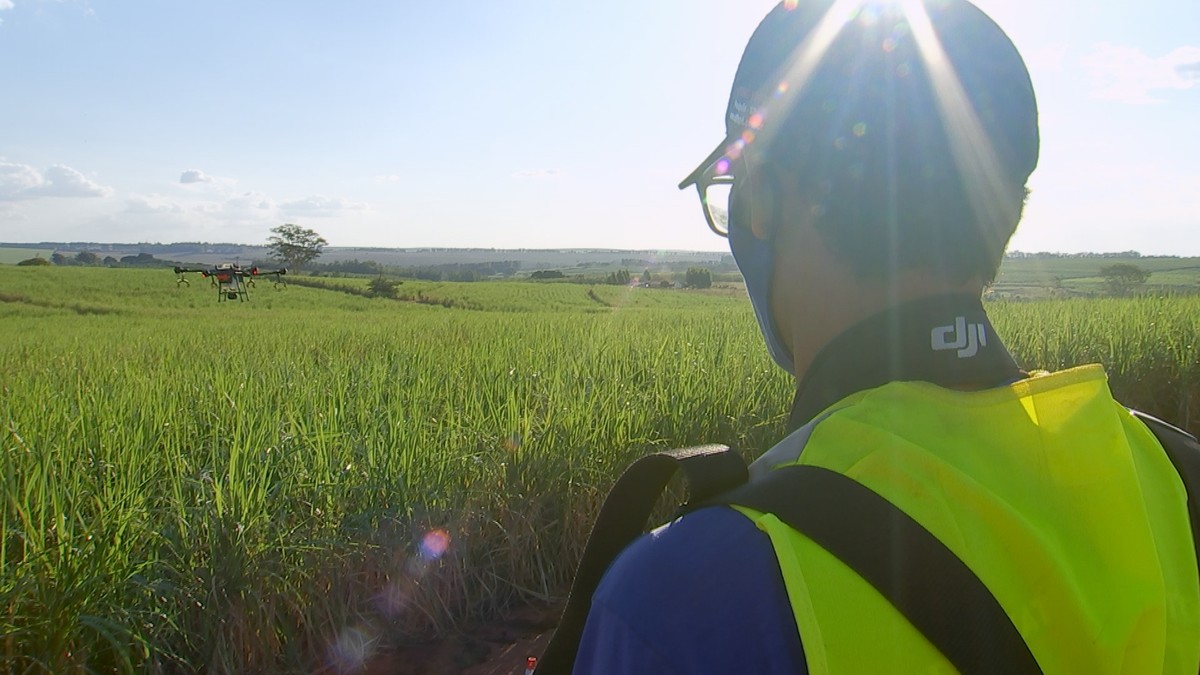 Vídeo: pecuarista usa drone para tocar a boiada - Revista Globo Rural