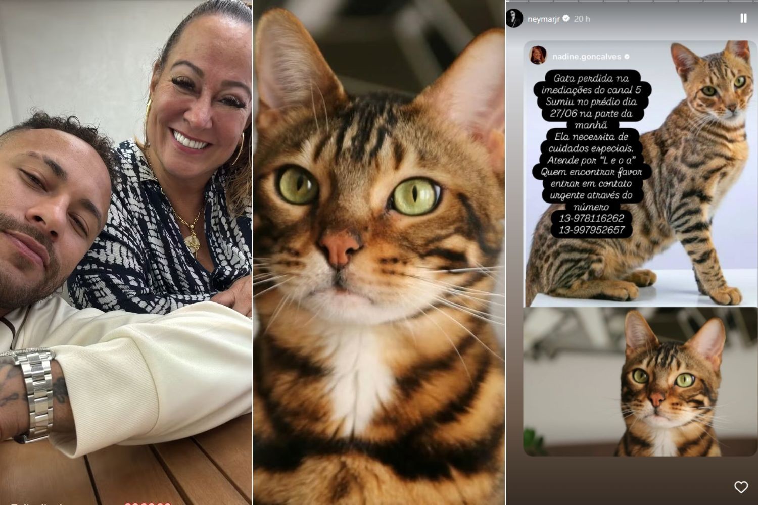 Mãe de Neymar Jr. pede ajuda para encontrar gata desaparecida no litoral de SP