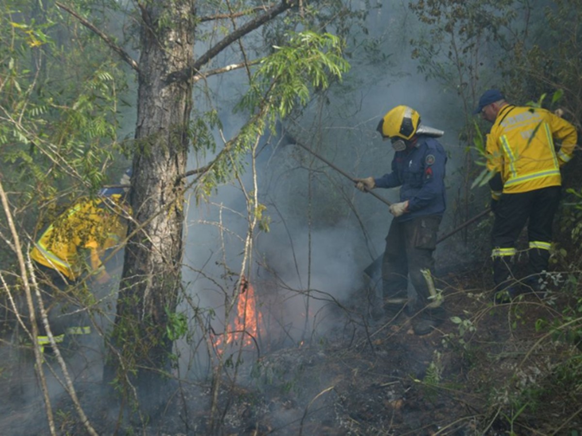 Previsão de incêndios? SC lança plataforma que mostra riscos ligados a fatores ambientais; entenda