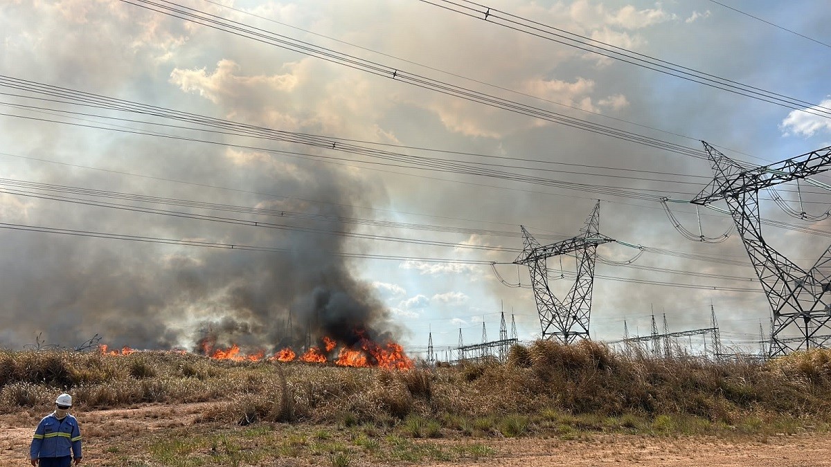 Queimadas ameaçam rede elétrica no oeste do Pará; Santarém já registra 18 ocorrências perto da fiação
