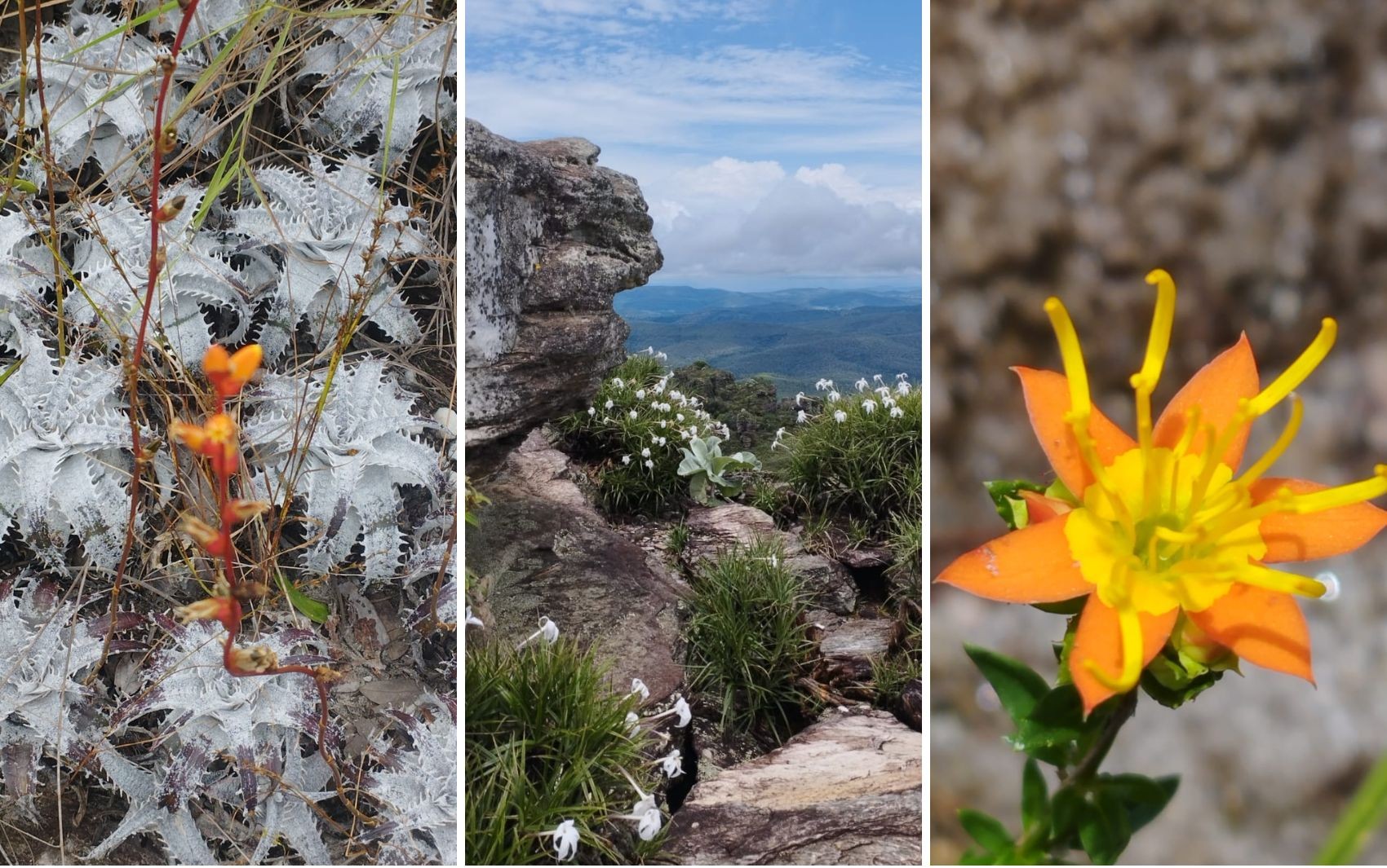 Mirantes, piscinas naturais e paisagens impressionantes: conheça a Cidade de Pedra localizada em Pirenópolis
