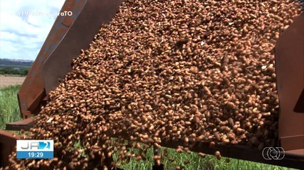 Confira as reportagens do Globo Rural deste domingo (9)