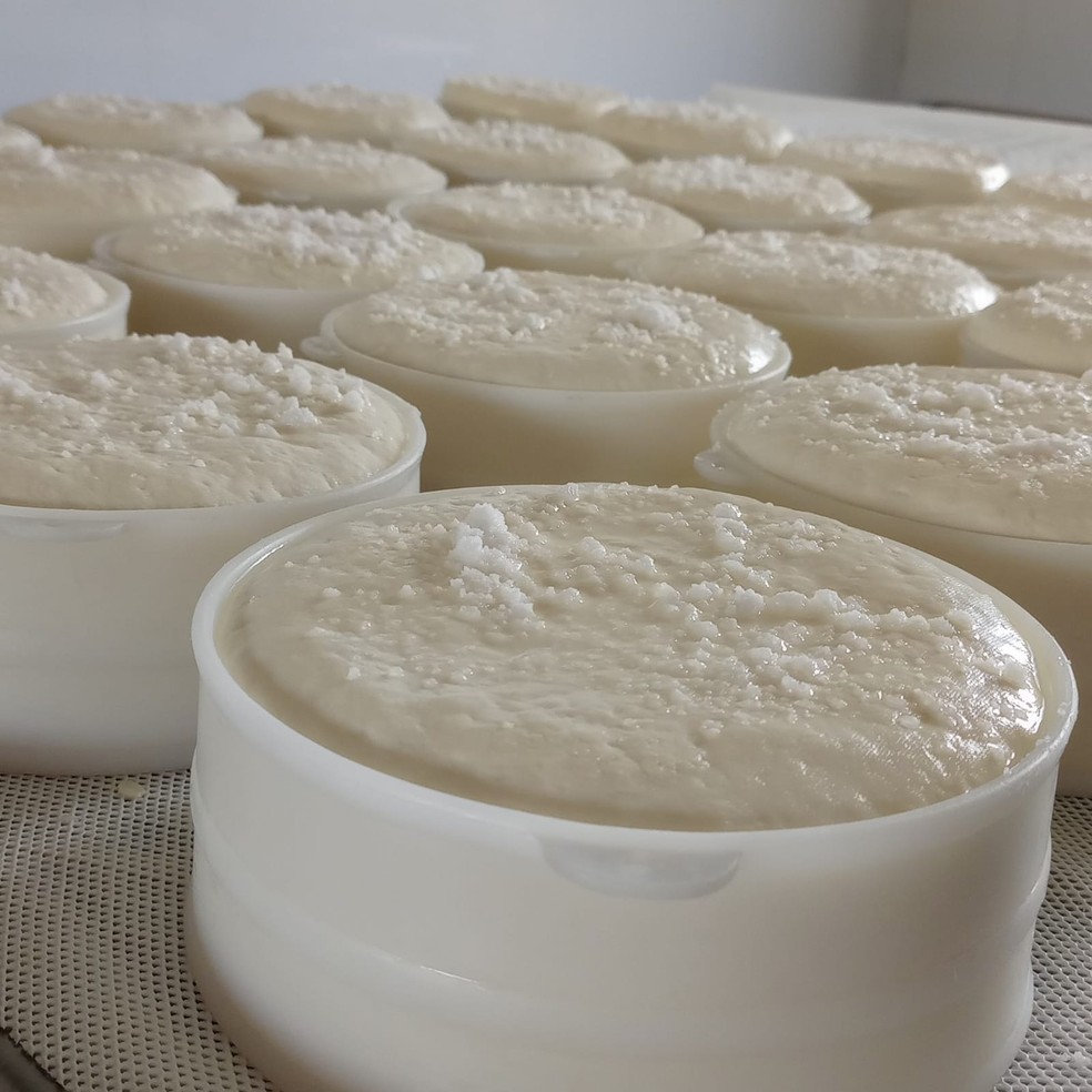 Produo de queijo artesanal da Canastra, em So Roque de Minas.  Foto: Maria Lucilha de Faria - arquivo pessoal