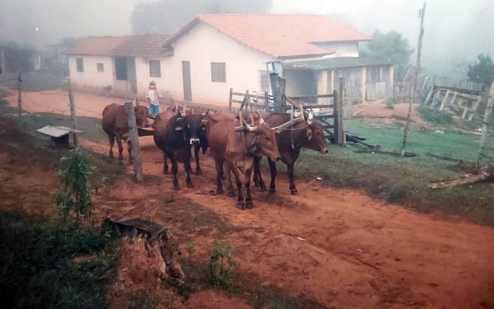 Ainda pequena, Lariane sempre acompanhava o tio quando ele ia carrear — Foto: Arquivo pessoal