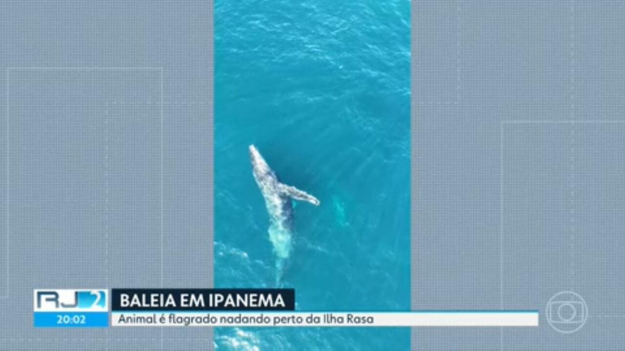 VÍDEOS: RJ2 de sábado, 5 de julho de 2025