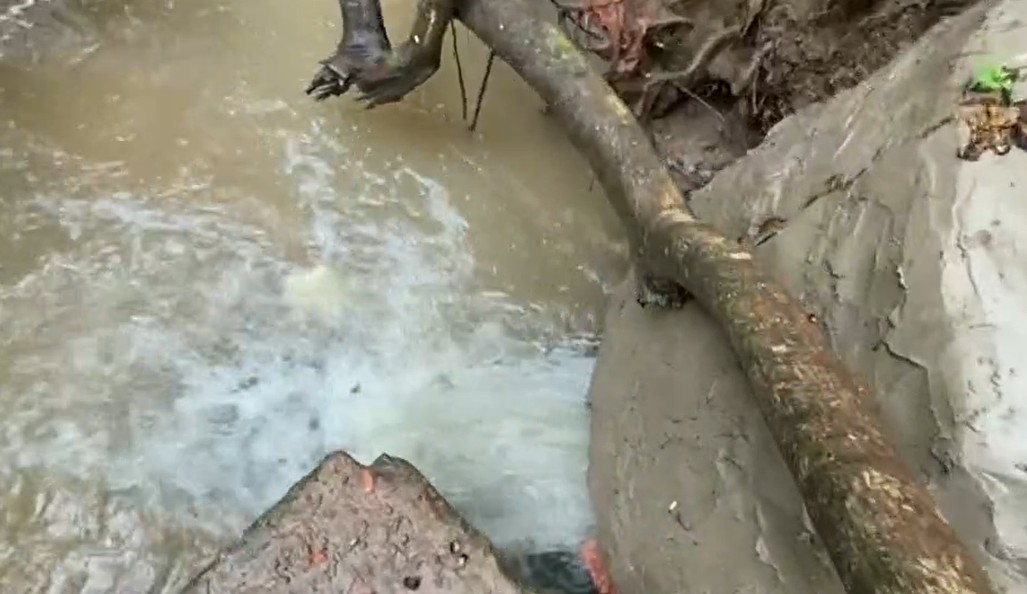 Moradores denunciam vazamento de esgoto em área verde de Piracicaba 