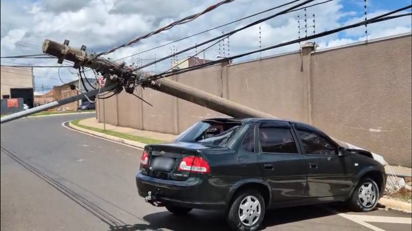 Motorista diz que bateu em poste ao tentar tirar abelha do carro em Franca, SP