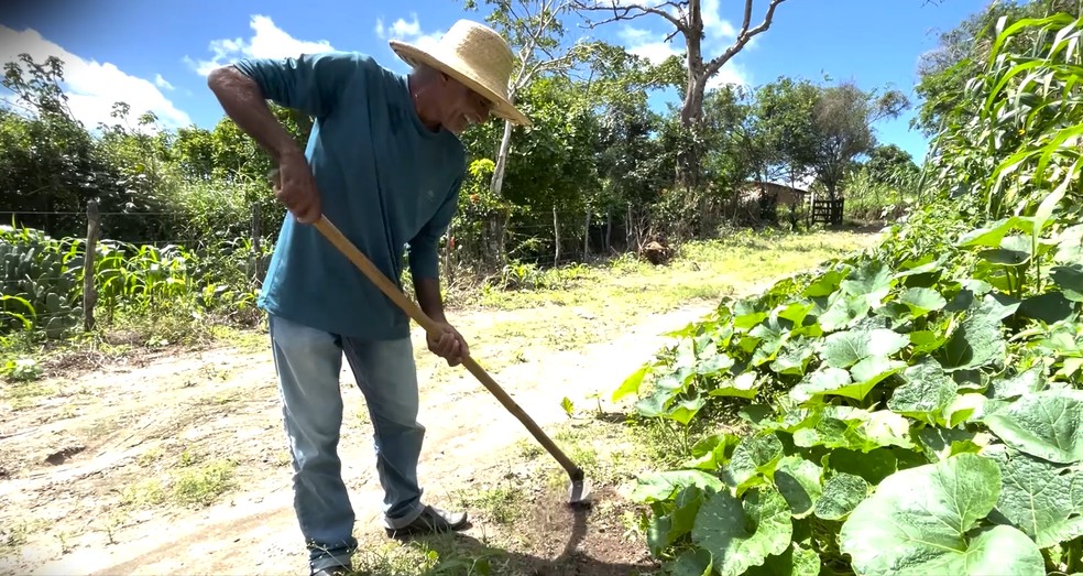 Agricultor José Barbosa teve que provar na justiça a própria identidade para se aposentar — Foto: Reprodução/TV Asa Branca