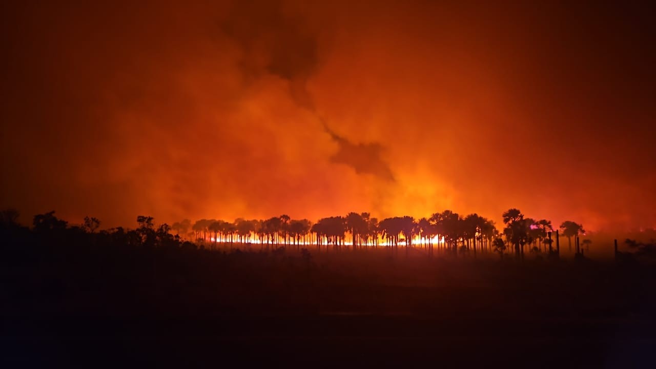 VÍDEO: Incêndio atinge área de preservação próxima ao Clube Caça e Pesca, em Uberlândia