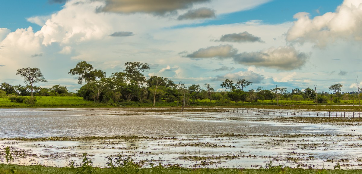 Nível do Rio Paraguai atinge nível mais baixo já registrado no período em 59 anos em MT | Mato Grosso