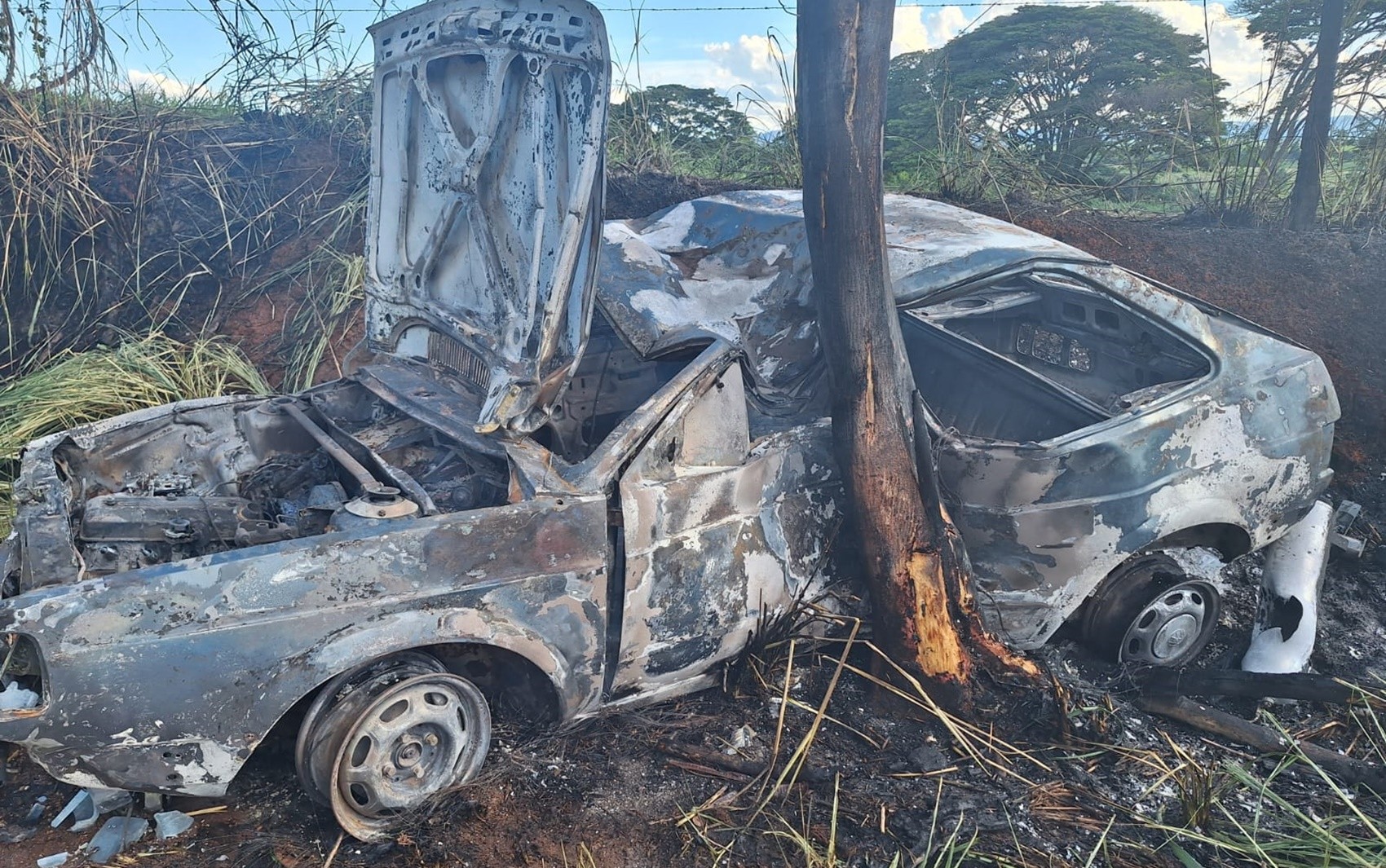 Homem morre após carro bater em árvore e pegar fogo em São José da Barra, MG