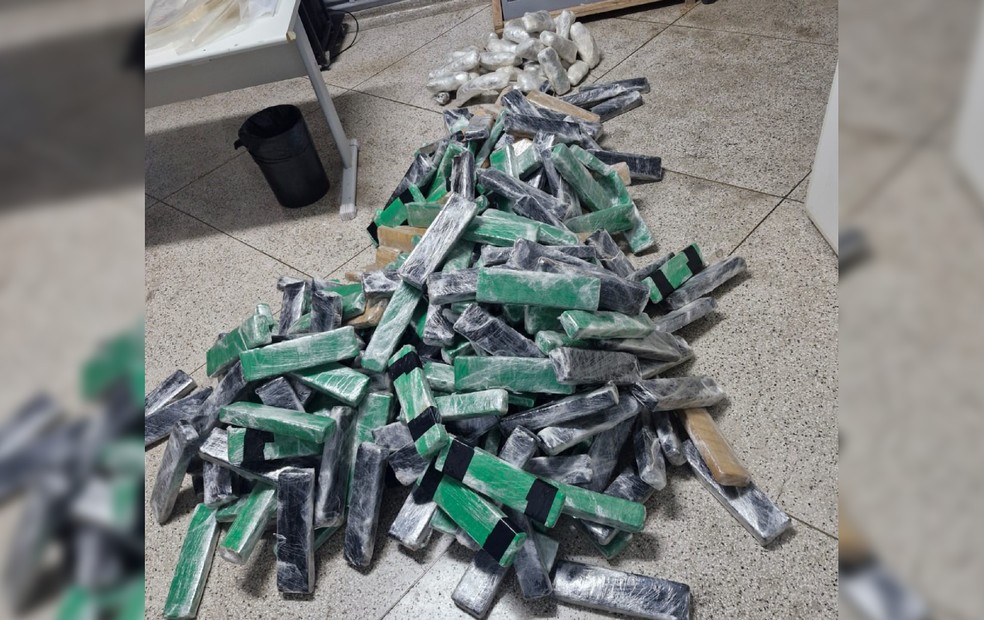 Apreensão de maconha na Rodovia Assis Chateaubriand (SP-425) em Presidente Prudente (SP) — Foto: Polícia Rodoviária/Divulgação