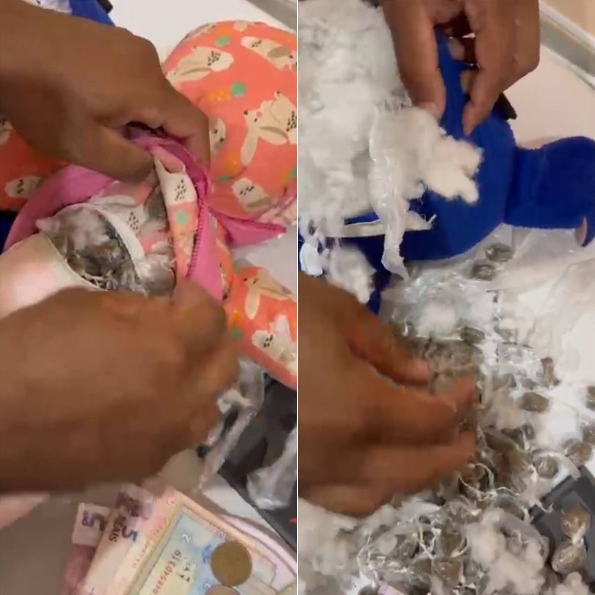 PM encontra quase 100 porções de drogas escondidas em pelúcias no RN